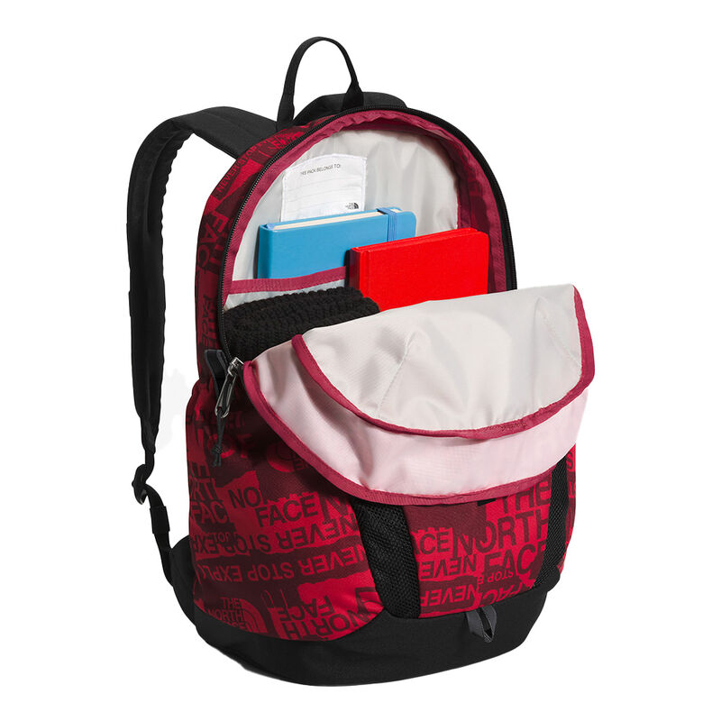 The North Face Mini Recon Backpack image number 3