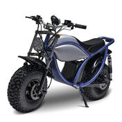 Kandi Trail King e1500 Electric Mini Bike